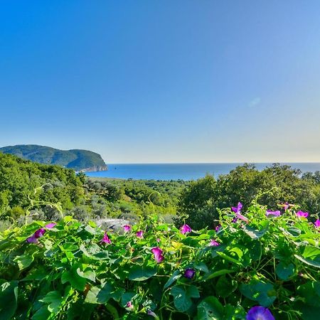 Pataki Studios Petrovac Zewnętrze zdjęcie