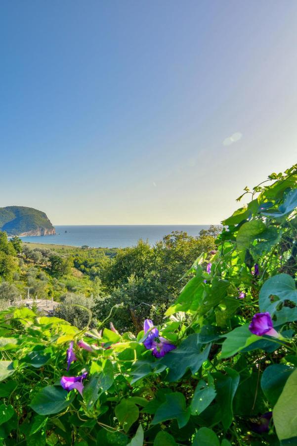 Pataki Studios Petrovac Zewnętrze zdjęcie