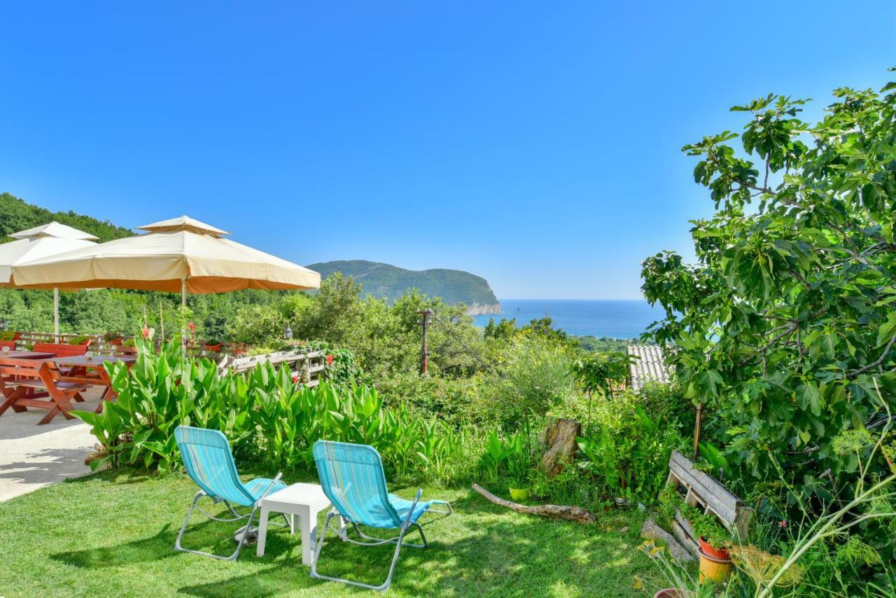 Pataki Studios Petrovac Zewnętrze zdjęcie