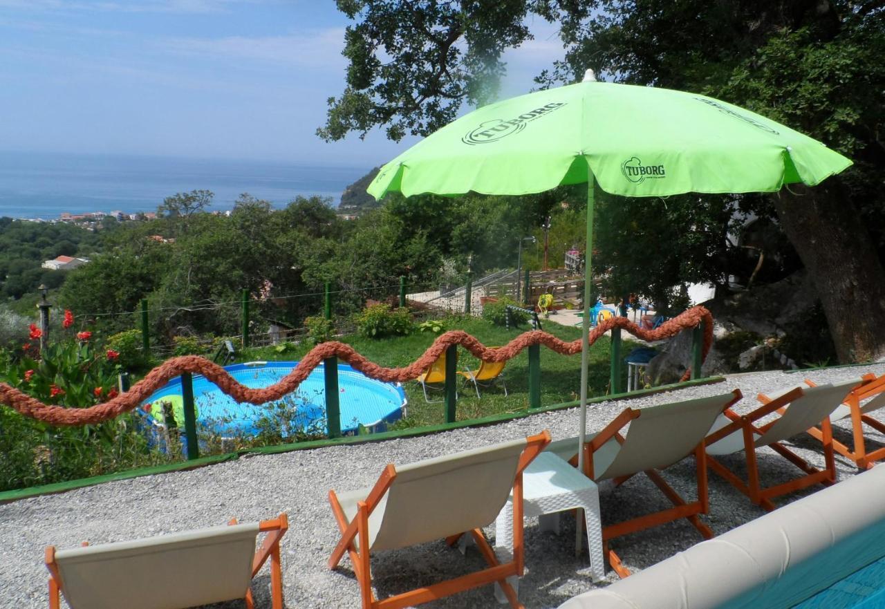 Pataki Studios Petrovac Zewnętrze zdjęcie